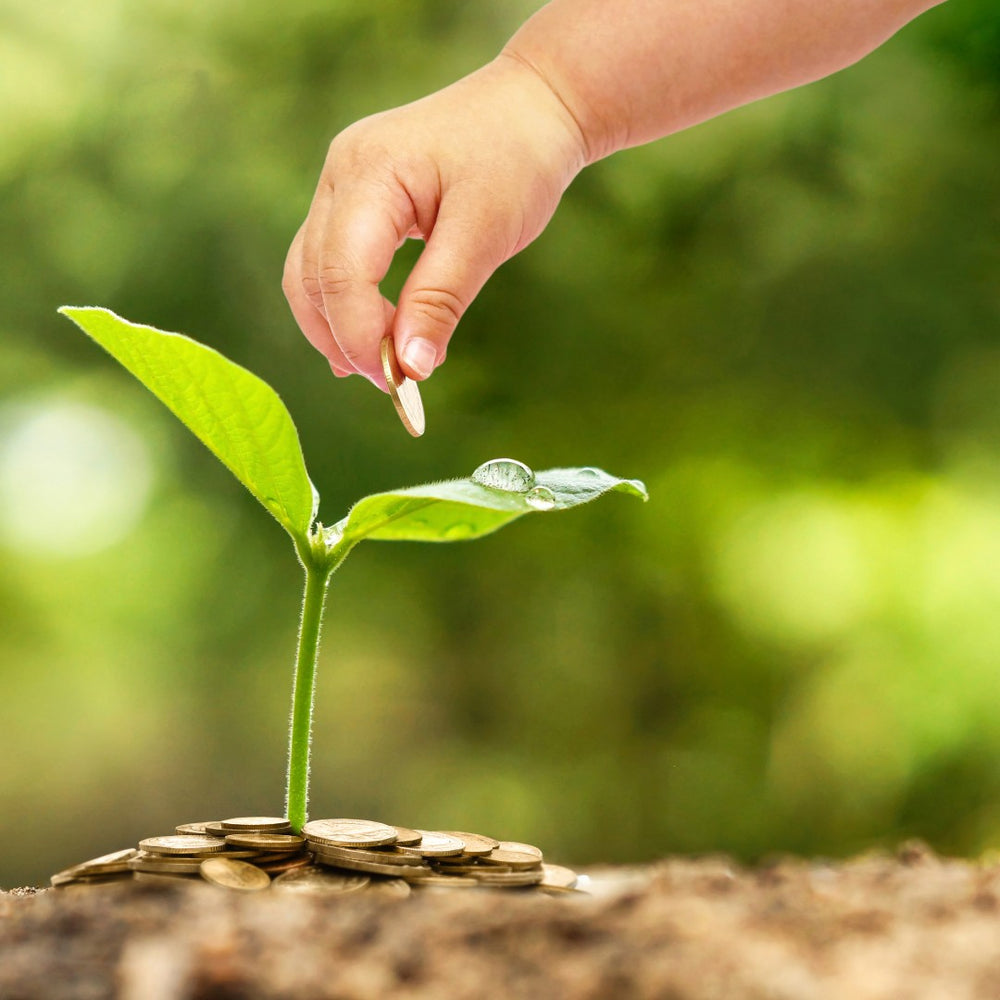 An arm lays a coin on a spout that’s rooted in other coins, representing the importance of environmental responsibility.